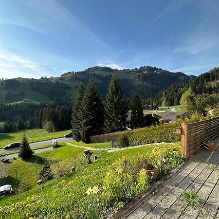 Chalet Du Moleson غرويير المظهر الخارجي الصورة