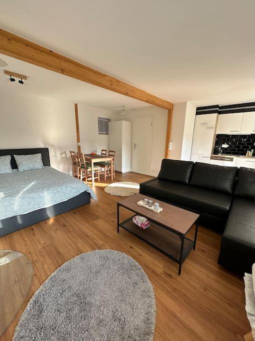 Chalet Du Moleson غرويير المظهر الخارجي الصورة